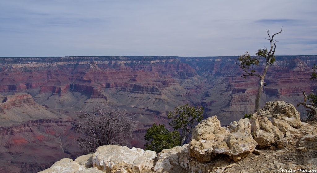 Grand Canyon Day Tour from Williams, AZ Daily Grand Canyon Tour from Williams